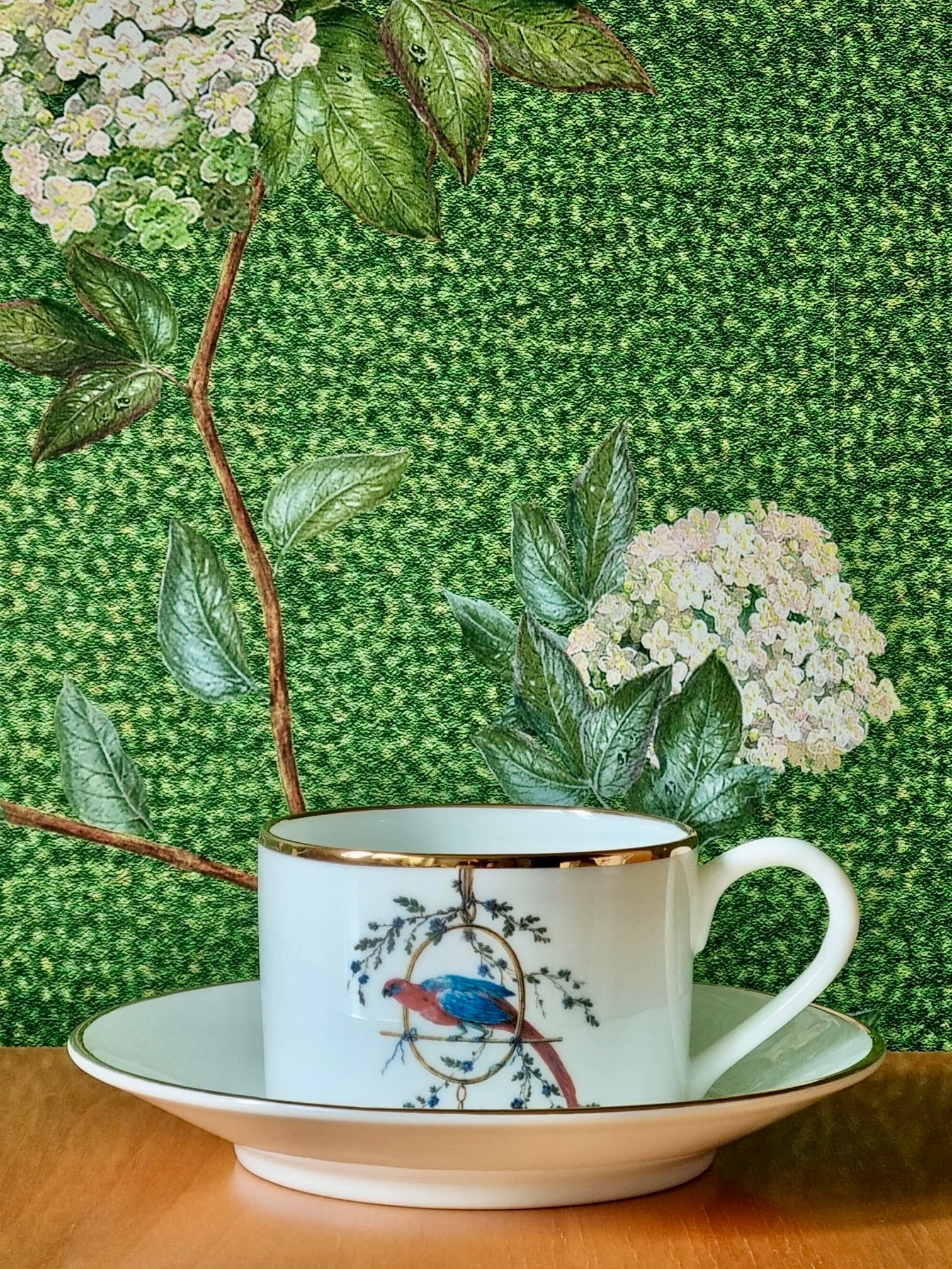 Cup and Saucer “Le Perroquet”