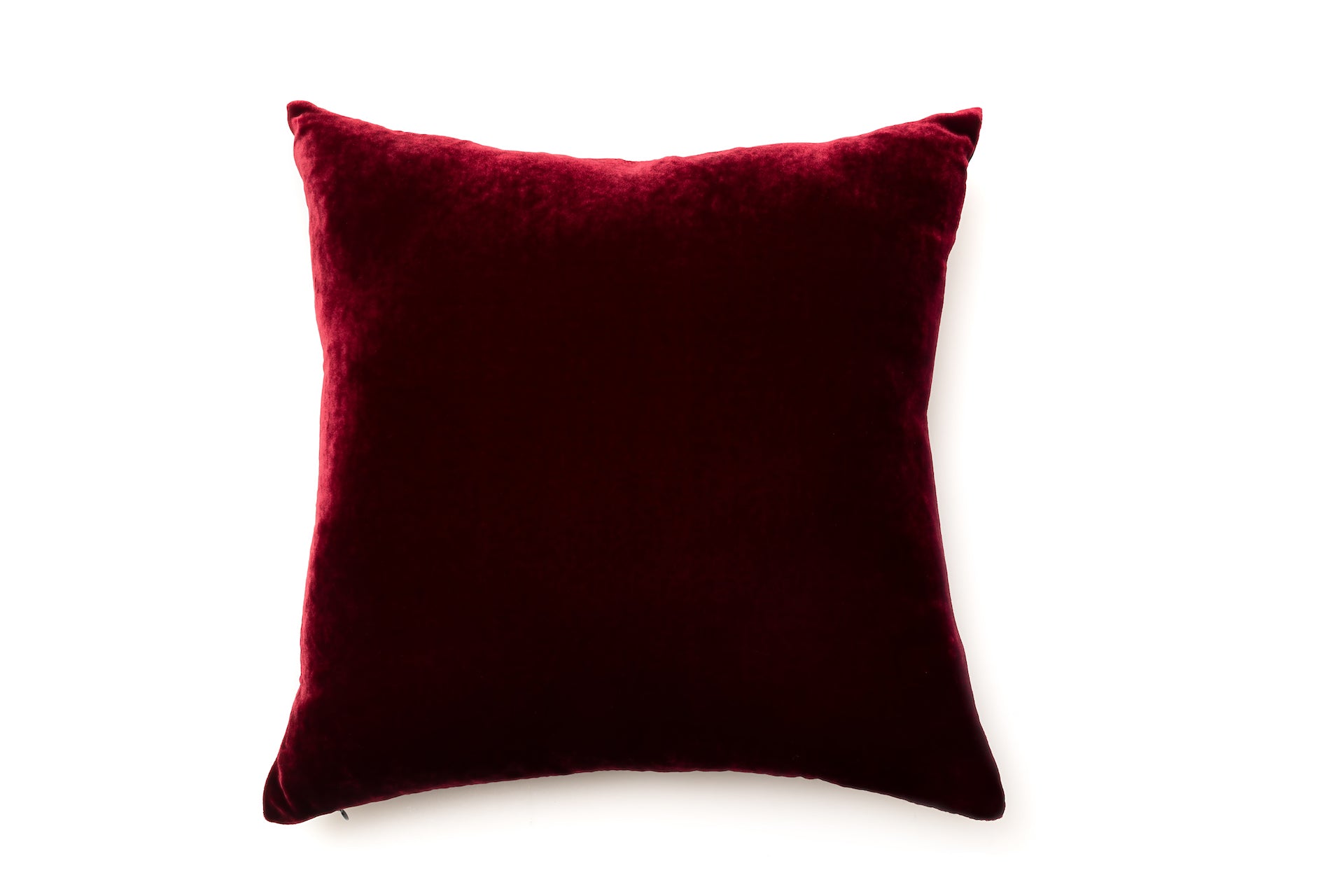 Silk Cushion Black ''Le Perroquet'' - House of Castlebird Rose